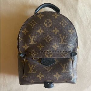Louis Vuitton Palm Springs mini